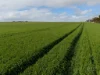 610 Marion Bay Road, Corny Point, SA 5575-Image