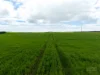 610 Marion Bay Road, Corny Point, SA 5575-Image