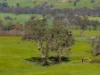6118 Maroondah Highway, Yarck, Vic 3719-Image