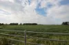 612 Kotta Road, Kotta, Vic 3565-Image