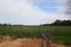 612 Kotta Road, Kotta, Vic 3565-Image