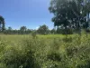 618 Weaver Road, Swans Lagoon, Qld 4807-Image