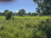 618 Weaver Road, Swans Lagoon, Qld 4807-Image