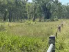 618 Weaver Road, Swans Lagoon, Qld 4807-Image
