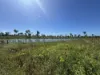 618 Weaver Road, Swans Lagoon, Qld 4807-Image