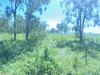 618 Weaver Road, Swans Lagoon, Qld 4807-Image