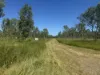 618 Weaver Road, Swans Lagoon, Qld 4807-Image