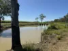 618 Weaver Road, Swans Lagoon, Qld 4807-Image