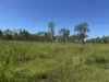 618 Weaver Road, Swans Lagoon, Qld 4807-Image