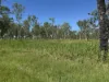 618 Weaver Road, Swans Lagoon, Qld 4807-Image