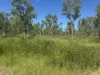 618 Weaver Road, Swans Lagoon, Qld 4807-Image