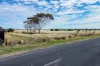 66 Gawler Road, Two Wells, SA 5501-Image
