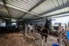 67 Butterfactory Lane, Grafton, NSW 2460-Image