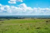 68 Woodhouselee Road, Wayo, NSW 2580-Image