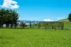 68 Woodhouselee Road, Wayo, NSW 2580-Image