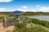 709, Fairley VIC 3579-Image