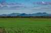 73-95 Trelawney Lane, Harrisville QLD 4307-Image