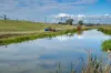 73-95 Trelawney Lane, Harrisville QLD 4307-Image