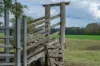 73-95 Trelawney Lane, Harrisville QLD 4307-Image