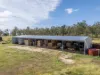 745 Hivesville Road, Marshlands QLD 4611-Image