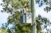 745 Hivesville Road, Marshlands QLD 4611-Image