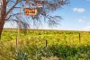 752 Greenways Road, Nildottie SA 5238-Image