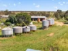 752 Greenways Road, Nildottie SA 5238-Image