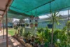 752 Greenways Road, Nildottie SA 5238-Image