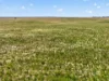 752 Greenways Road, Nildottie SA 5238-Image