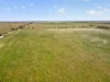 752 Greenways Road, Nildottie SA 5238-Image