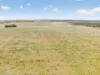 752 Greenways Road, Nildottie SA 5238-Image