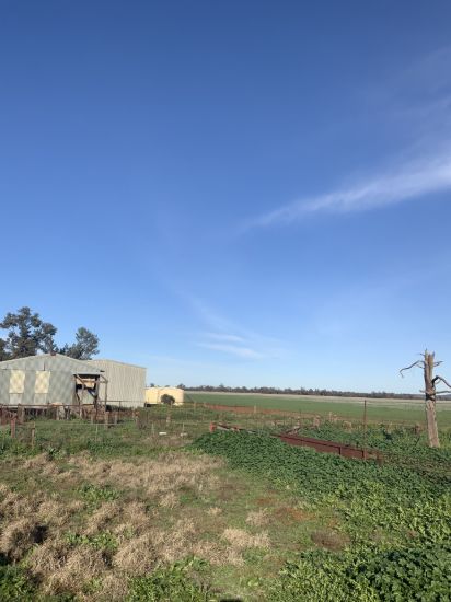 762 Cornells Road, Condobolin NSW 2877-Image