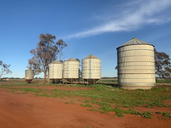 762 Cornells Road, Condobolin NSW 2877-Image