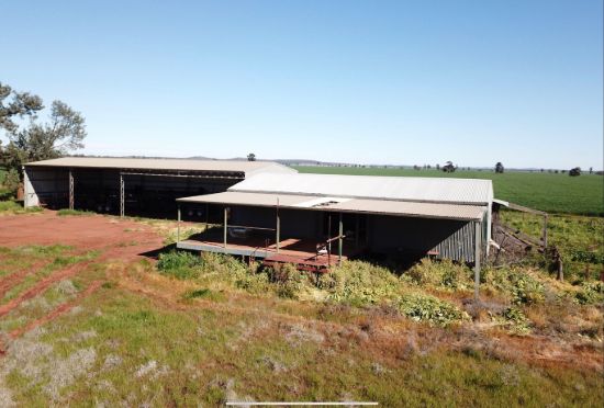 762 Cornells Road, Condobolin NSW 2877-Image
