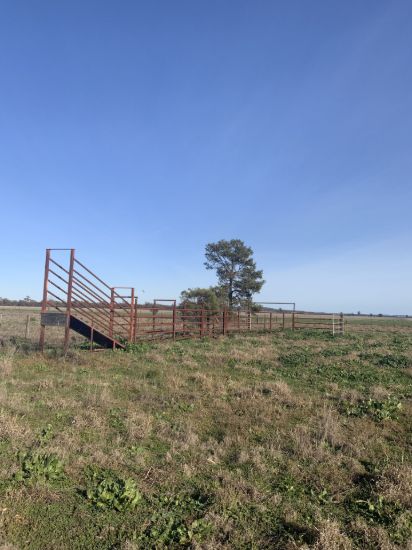 762 Cornells Road, Condobolin NSW 2877-Image