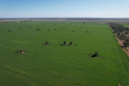 762 Cornells Road, Condobolin NSW 2877-Image