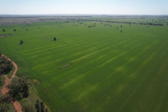 762 Cornells Road, Condobolin NSW 2877-Image