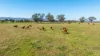 789 Walla Walla Road, Gerogery, NSW 2642-Image