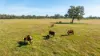 789 Walla Walla Road, Gerogery, NSW 2642-Image
