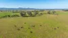 789 Walla Walla Road, Gerogery, NSW 2642-Image
