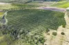 81 Hunts Crossing Road, Moorland, Qld 4670-Image