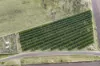 81 Hunts Crossing Road, Moorland, Qld 4670-Image