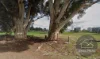 818 Yabba South Road, Youanmite, Vic 3646-Image