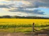 8221 Brookton Highway, Jelcobine, WA 6306-Image