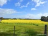 8221 Brookton Highway, Jelcobine, WA 6306-Image