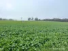 8221 Brookton Highway, Jelcobine, WA 6306-Image