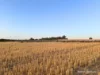 8221 Brookton Highway, Jelcobine, WA 6306-Image