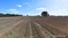 8221 Brookton Highway, Jelcobine, WA 6306-Image