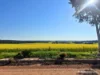 8221 Brookton Highway, Jelcobine, WA 6306-Image
