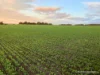8221 Brookton Highway, Jelcobine, WA 6306-Image